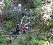 scientists in forest